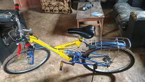 Stalker Bicycle