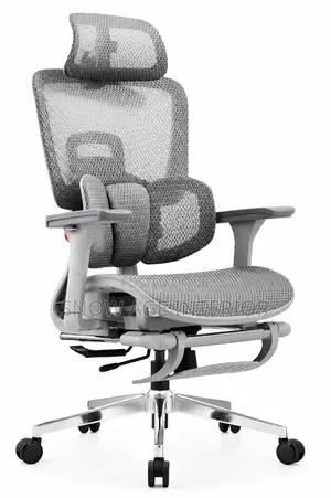 Ergonomic Mesh Office Chair