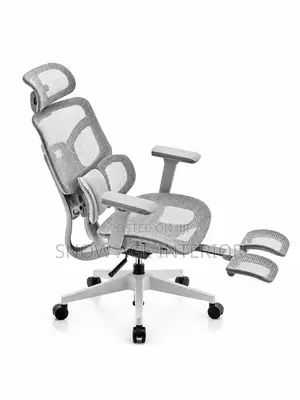 Ergonomic Mesh Office Chair