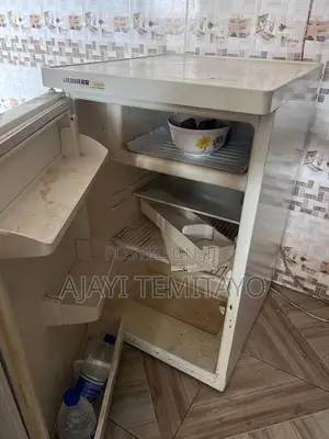 Mini Refrigerator