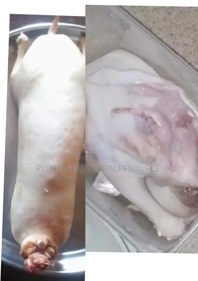 Freshly Dressed Rabbit Meat