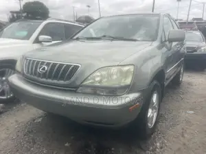 Lexus RX 300 4WD 2003 Gray