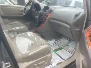 Lexus RX 300 4WD 2003 Gray