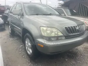 Lexus RX 300 4WD 2003 Gray