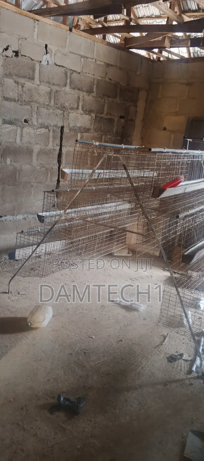 Chicken Cage