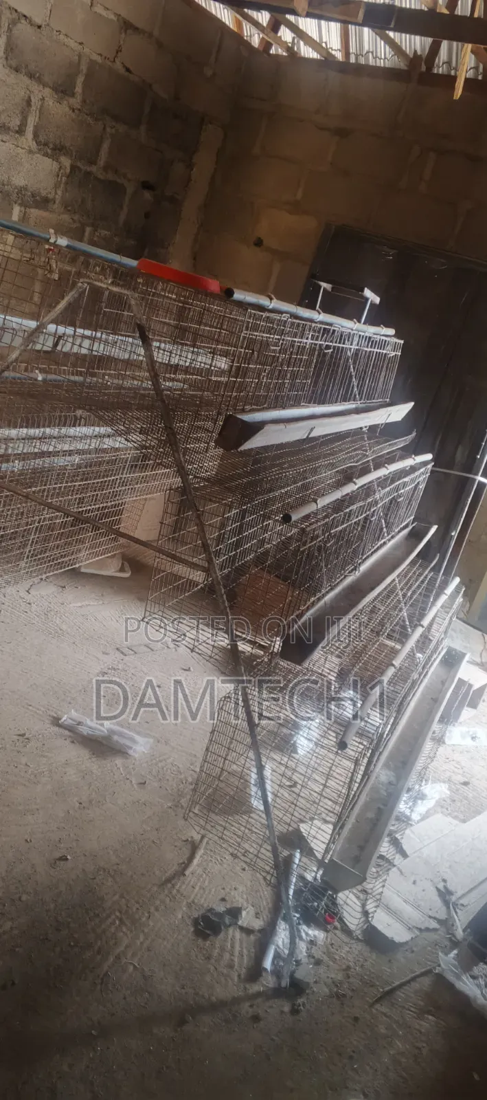 Chicken Cage