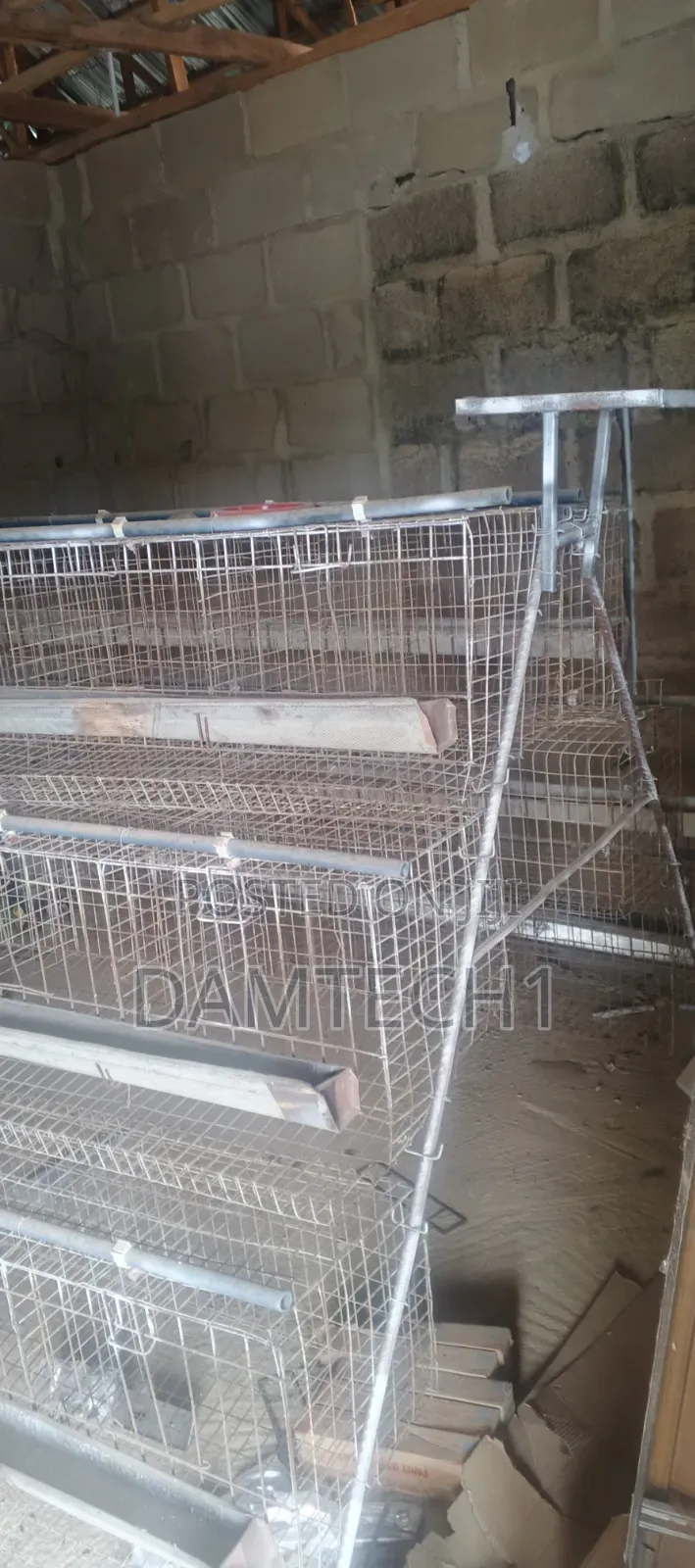 Chicken Cage