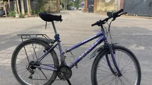 26” Phoenix Bicycle for Sale