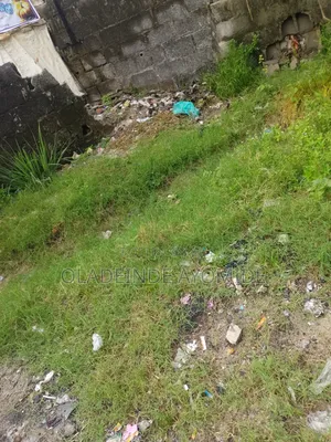 1plot of Dry Land