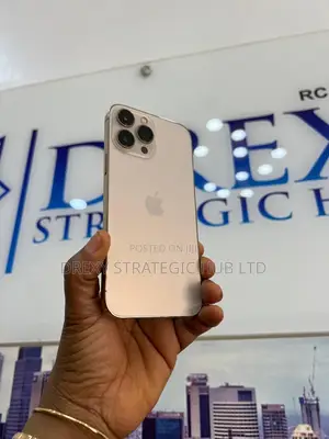 Apple iPhone 13 Pro Max 256 GB Gold
