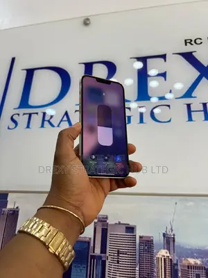 Apple iPhone 13 Pro Max 256 GB Gold