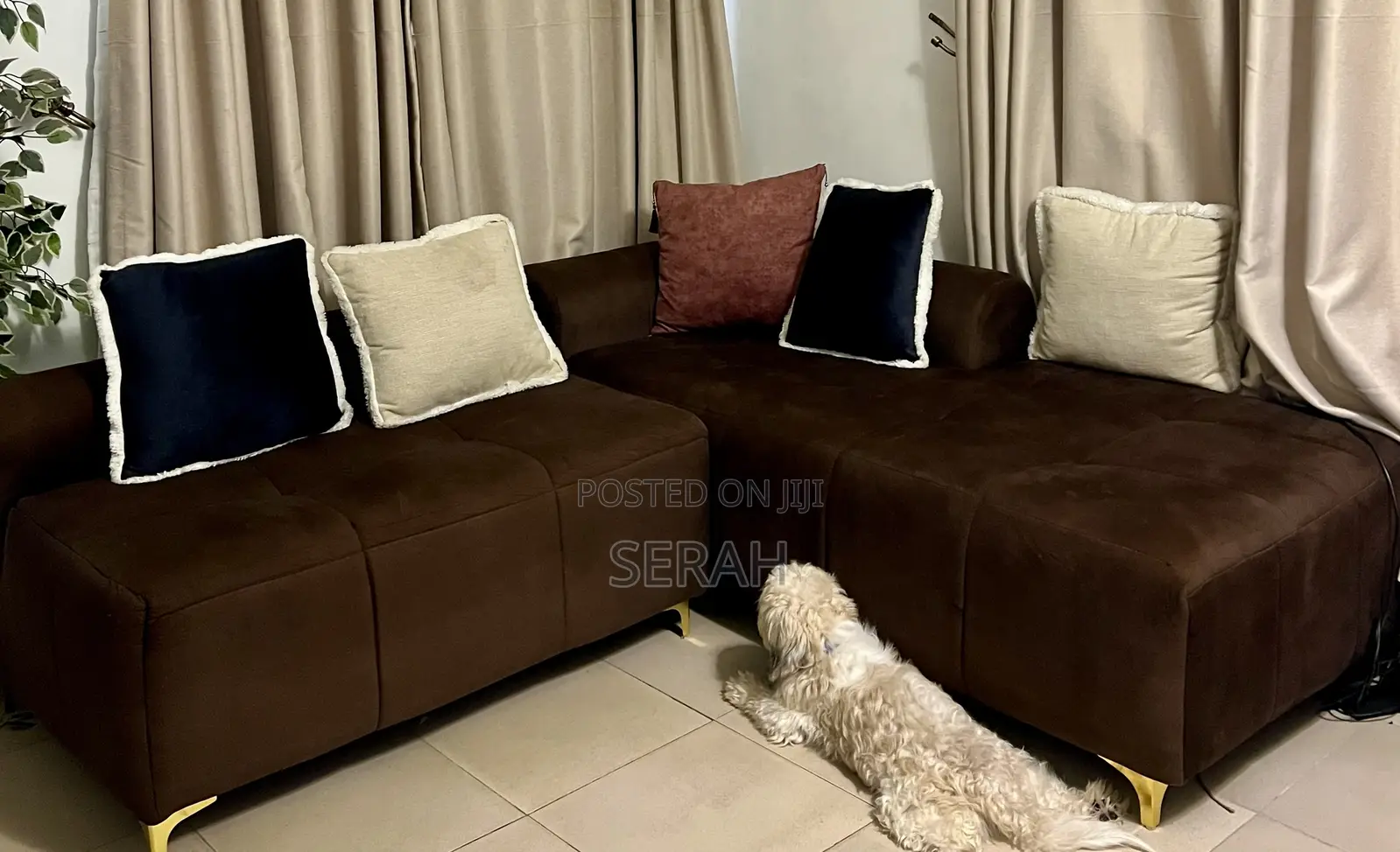 Complete L-Shape Couch