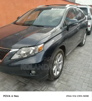 Lexus RX 350 2010 Gray