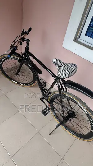 Custom Speed Bike