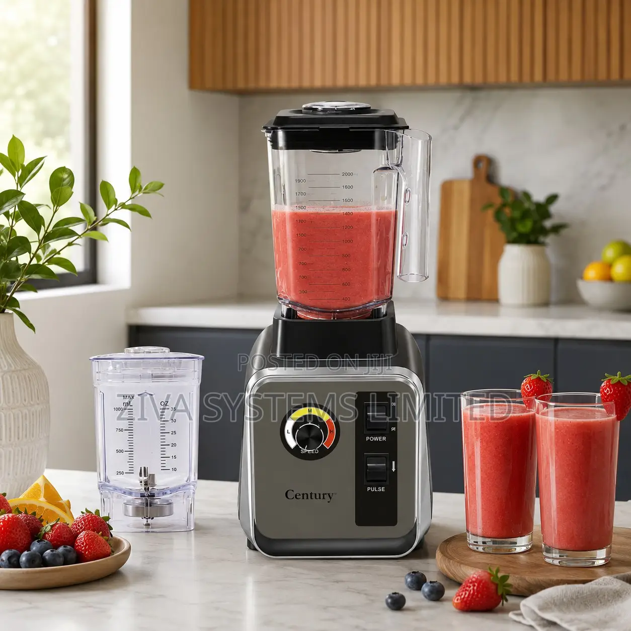 Century Cb 8231-Ca Torque Blend Blender With Grinder Cup