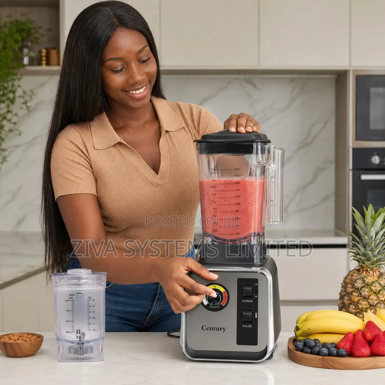 Century Cb 8231-Ca Torque Blend Blender With Grinder Cup