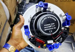 Professional 30 Watts Darts Ceiling Speakers