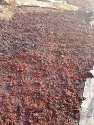Order Bulk Quality Livestock Feed Materials