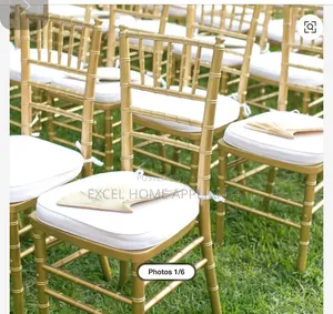 Elegant Chivalry Event Chairs
