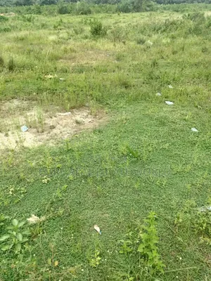 Owudil Kano Genuine Land