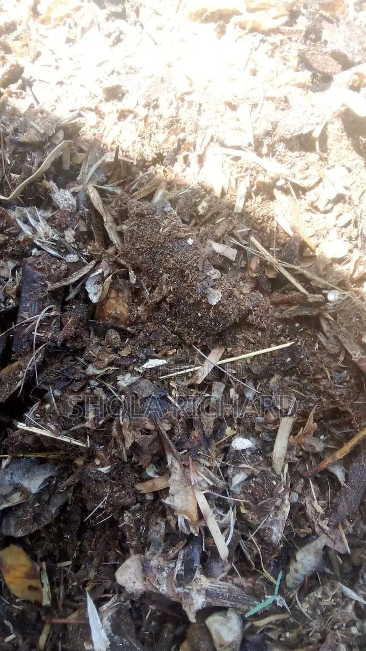 Order Bulk Quality Livestock Feed Materials