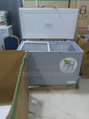 Bona Bd318l Solar Compatible Deep Freezer for Business