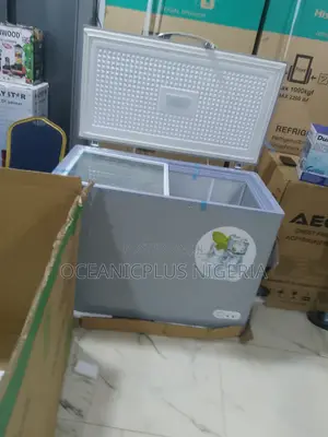 Bona Bd318l Solar Compatible Deep Freezer for Business