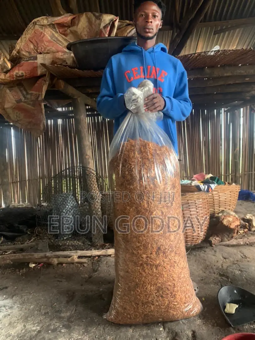 Seafood Seller