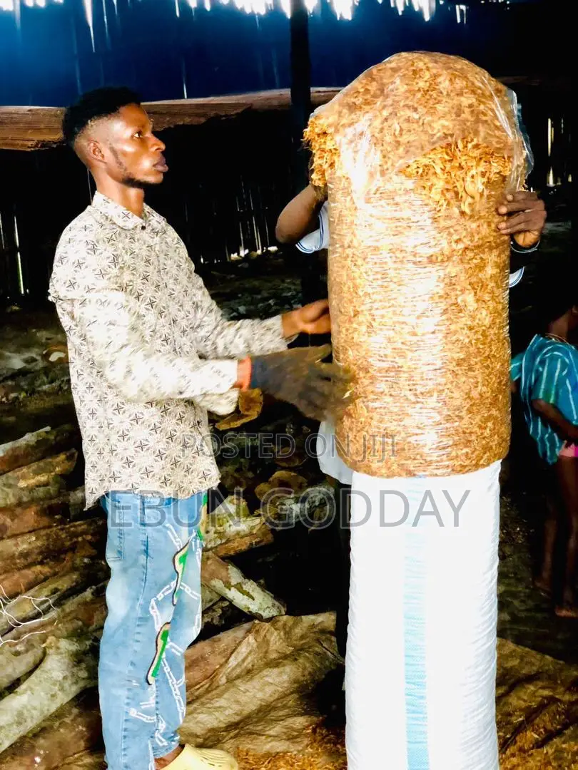 Seafood Seller