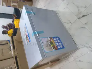 Nexus Nx-400g Freezer for Commercial Use