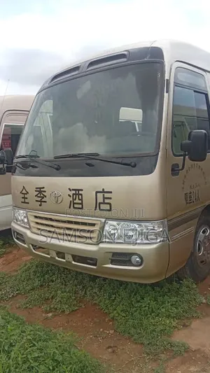 Toyota Coaster 2010 Beige