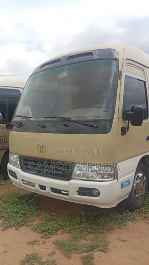 Toyota Coaster 2010 Beige