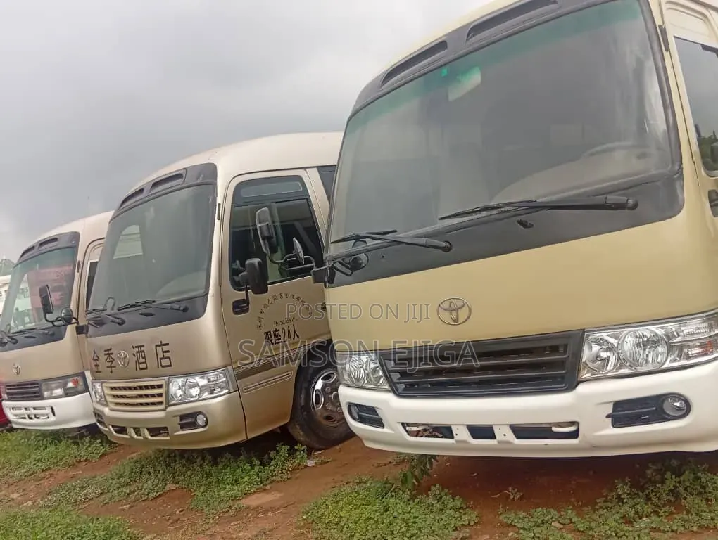 Toyota Coaster 2010 Beige