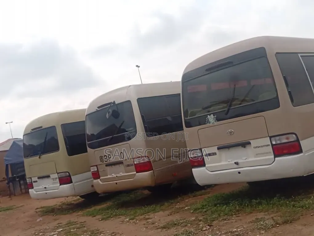 Toyota Coaster 2010 Beige
