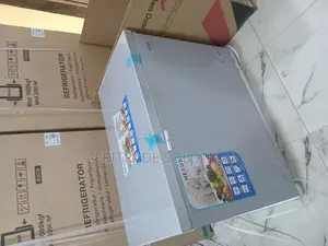 Nexus Nx-400g 300l Freezer for Restaurants Cafes