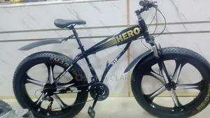 Alloyed Wheel Fat Tryer Bicycle