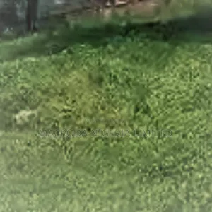 Land Available for Sale at Peace Estate