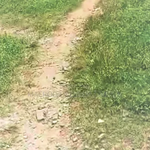 Standard 3 Plots Along Ishefun