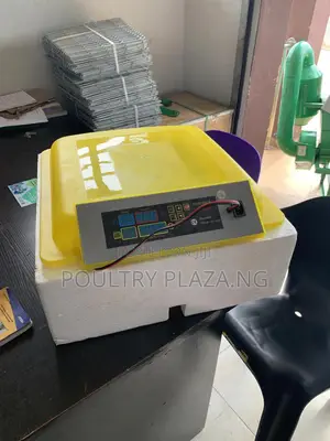 Egg Incubator