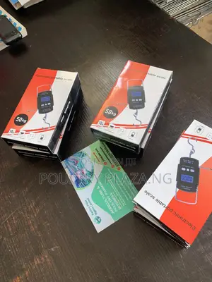 Electronic Portable Scale