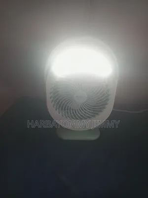 Reachable Fan With Torch Light for Sale