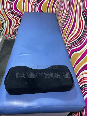 Spa Bed and Pillow