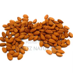 Organic Bitter Apricot Seeds 250g
