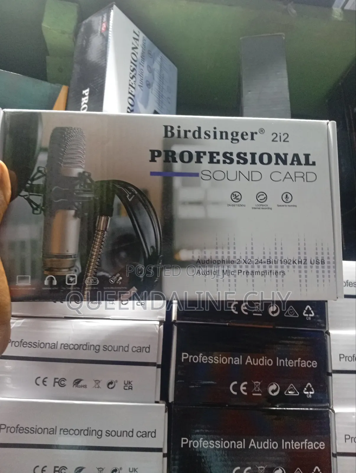 Professional 2i2 Audio Interface