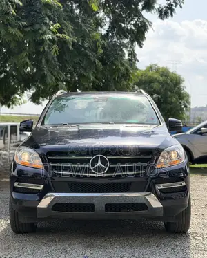Mercedes-Benz M Class ML 350 4x2 2013 Blue