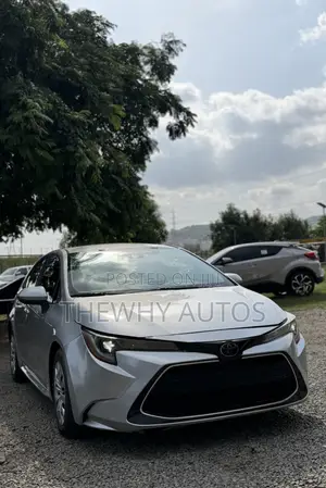 Toyota Corolla LE 2020 Silver