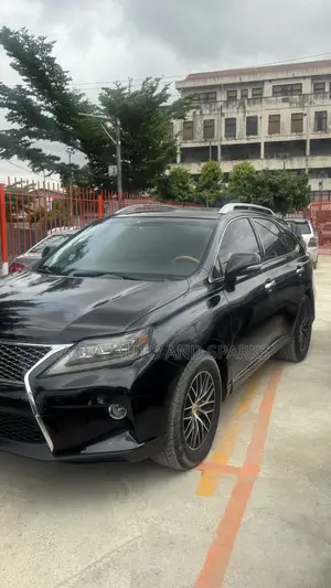 Lexus RX 2010 Gray