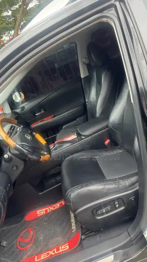 Lexus RX 2010 Gray