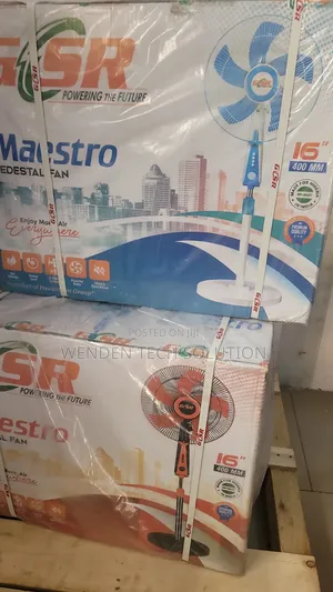 Standing Fan
