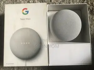 Google Mini Nest Speaker
